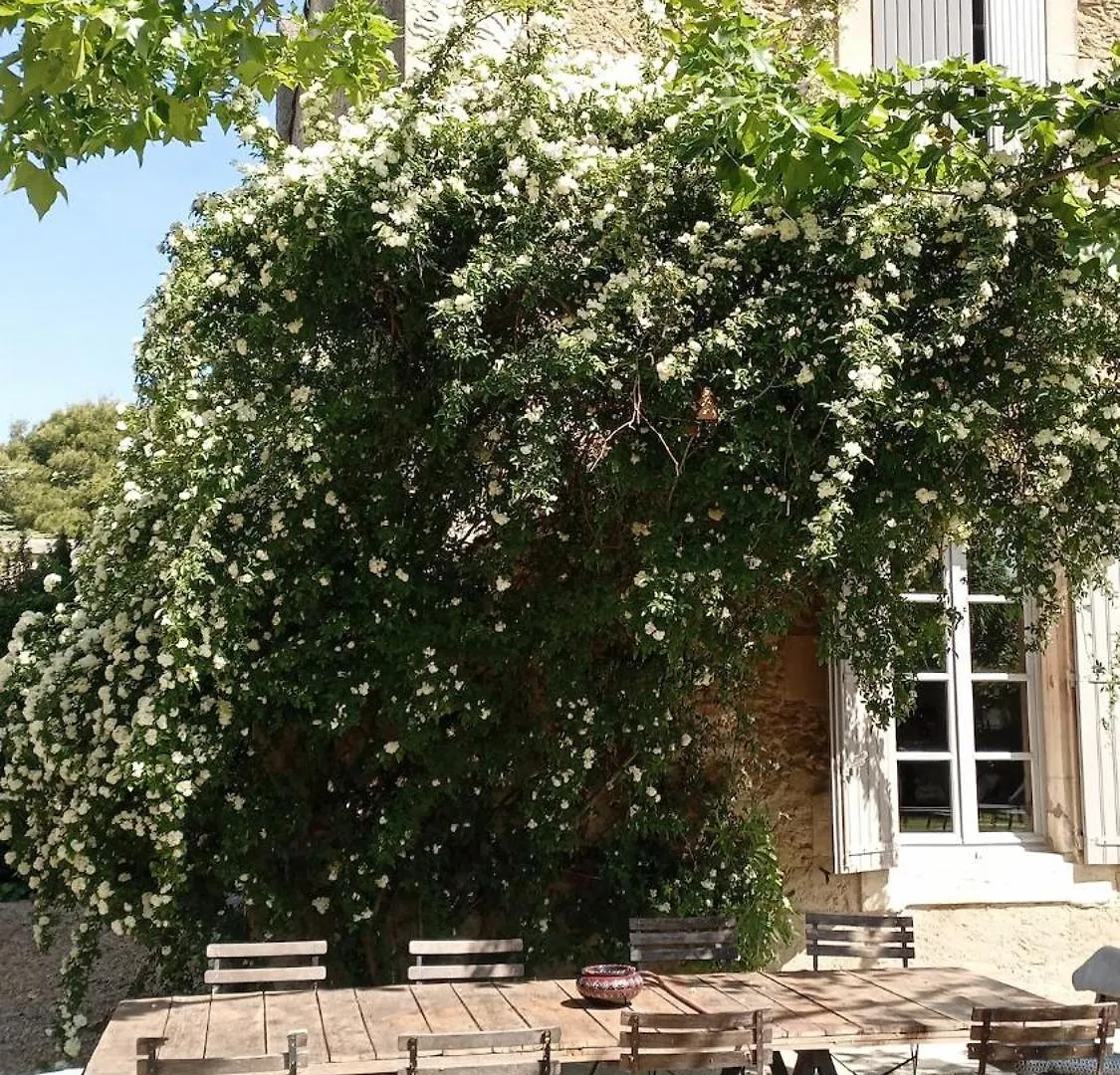 Ideal Festival D Avignon Magnifique Mas Avec Piscine Et Jacuzzi Althen-des-Paluds 0*,